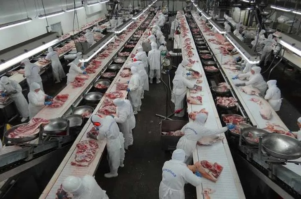 The Trio of Flavor in the Fabricated Meat Factory