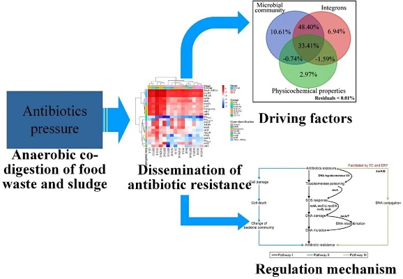 The Rise of Agricultural Residues in Textiles:An In-Depth Analysis
