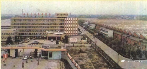 The Story of荆沙纺织厂