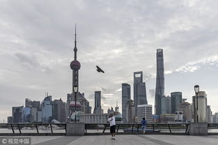 Shanghai Flexible Textiles:A Review and Case Study