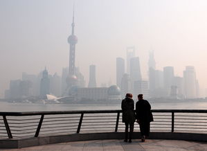 Shanghai Flexible Textiles:A Review and Case Study