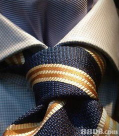 Vietnamese Textile Exports:A Glimpse into the Brands That Make Their Mark