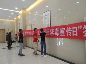 莎车县纺织品，丰富多样的产品与市场潜力