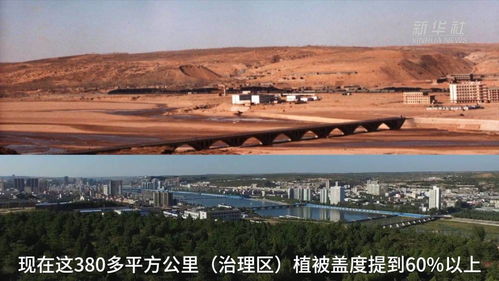 林芝纺织厂，绿色织就的纺织传奇
