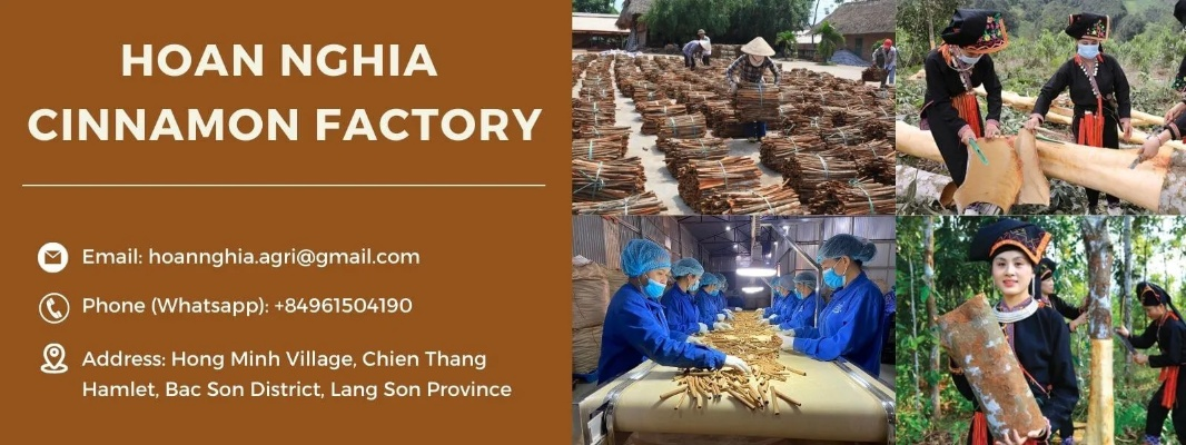 Vietnamese Textiles:A Global Success Story in International Trade