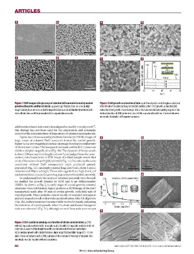 The Dynamics of Haining Mingsheng Textiles