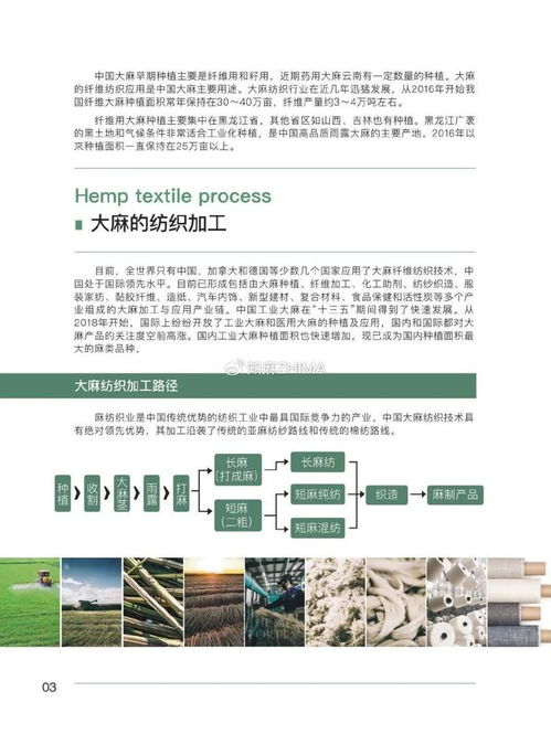 纺织厂报告，绿色制造与可持续发展