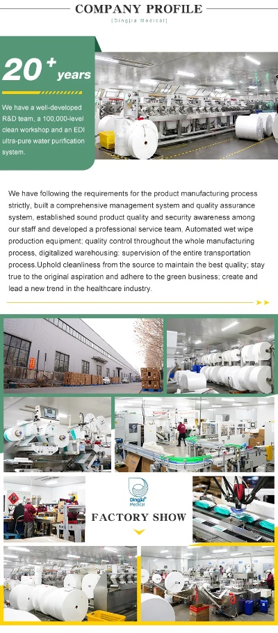 The Evolution and Impact of Baoan West Textile Factory