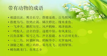 与纺织品有关的成语集锦