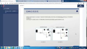 Strategic Insights into the Success of Shenzhen Longhui Textiles Co.Ltd.