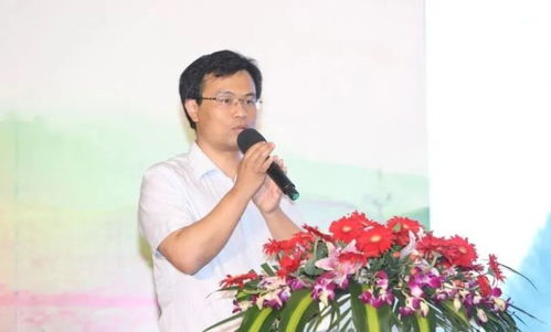 杭州董杰纺织品，品质与创新的融合