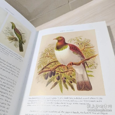 The Story of Nantong Jinzheng Bird Textiles