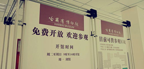 纺织厂感想，技术与人文的融合之旅
