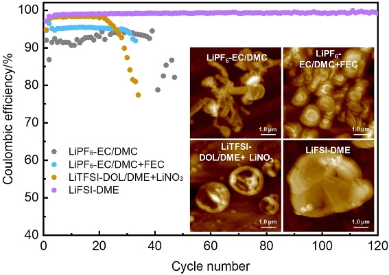 The Dynamics of Lijia Textiles:A Comprehensive Analysis