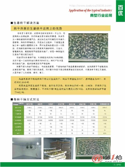再生纺织品烘干项目报告