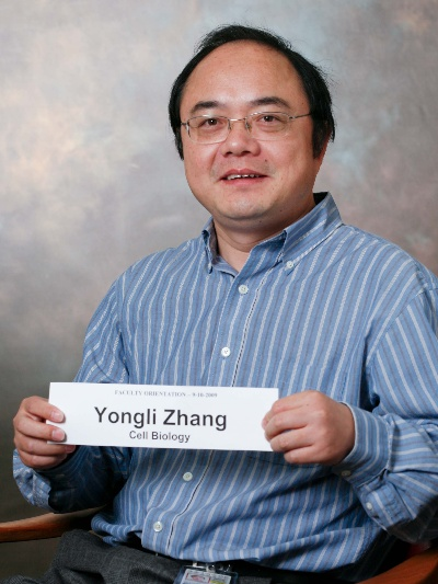 The Story of Textile Factorys Leaders:Zhang Yong