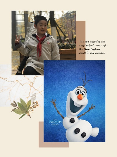 雪宝球纺织品，探索与体验