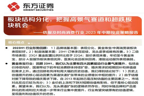 贵州纺织品牌女装代理加盟策略，案例分析与市场机遇探讨