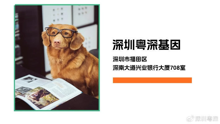 盐田医用纺织品价格解析
