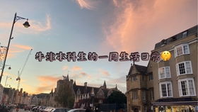 The Current State of the Henan Textile Factory