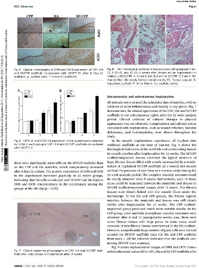 The Role of Particle-Vesiculated Polyvinyl Chloride PVC)Coatings in Textiles