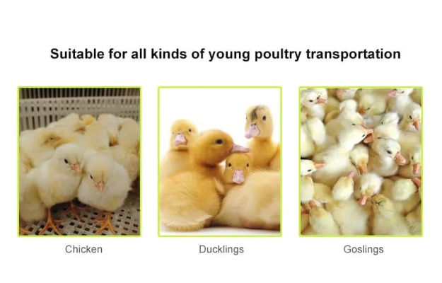 The Craftsmanship of Chongzhous Little Fat Duck Textiles