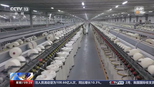 广州花都纺织品运输案例分析