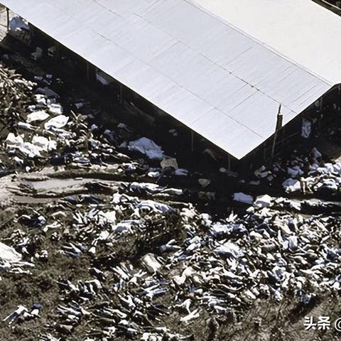 纺织厂中毒事件报告