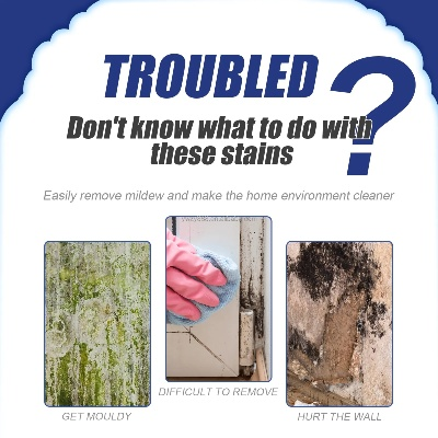 The Hidden Dangers of Mould and Mildew on Textiles