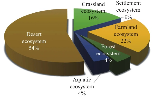 The Impact of Eco-Friendly Textiles on Environmental Health and Sustainability