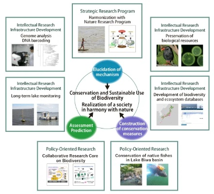 The Impact of Eco-Friendly Textiles on Environmental Health and Sustainability