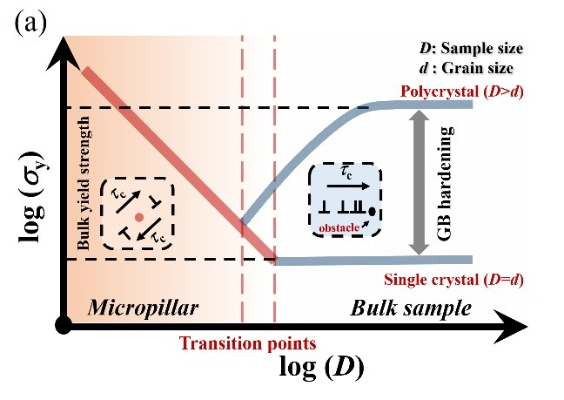 The Dynamics of Huaxin Textile Mill:A Comprehensive Analysis