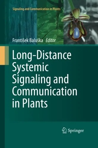 The Dynamics of the Longgang Textiles Business Division