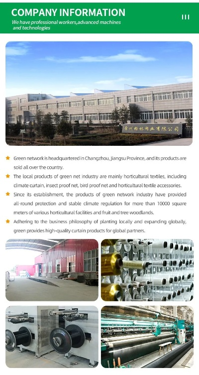 Exploring the Global Success of Jiangsu Shangzhe Textiles Co.Ltd.