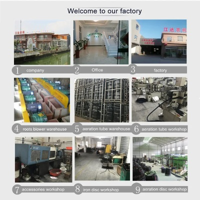 The Dynamics and Innovations of Yinzhou Districts Chaoyang Textile Factory