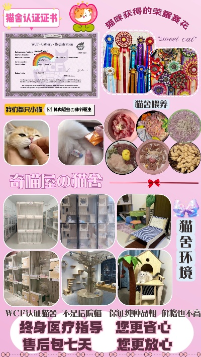猫舍纺织品，品质与选择