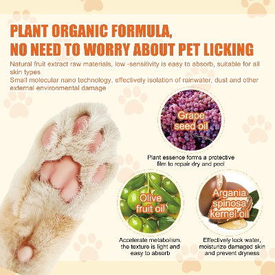 Is Pet Footwear a Material of Textiles?