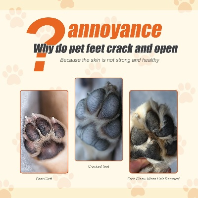 Is Pet Footwear a Material of Textiles?
