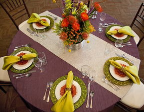 Cloud Seat Beef Kings Textiles A Fabric of Flavorful Experiences