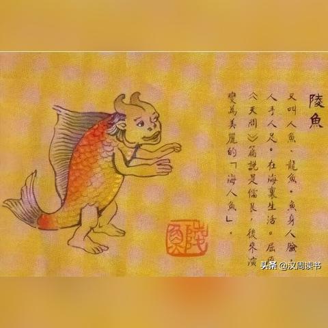 展金纺织品，时尚与品质的完美融合