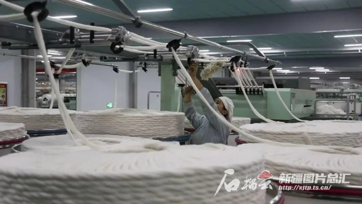库车县纺织品批发市场的探索与案例分析