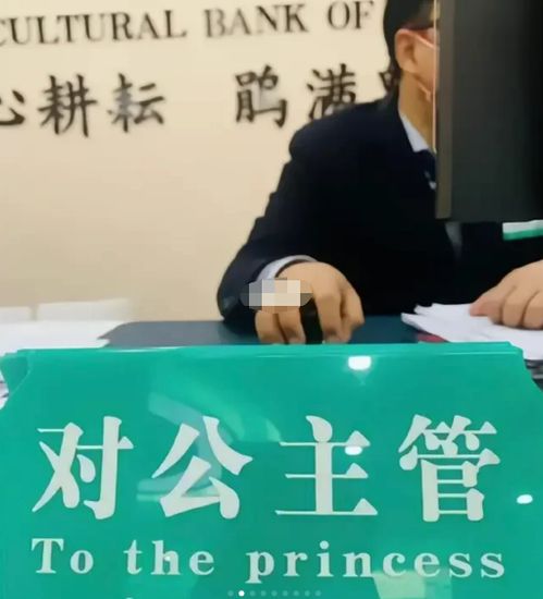 乱纹纺织品翻译实践