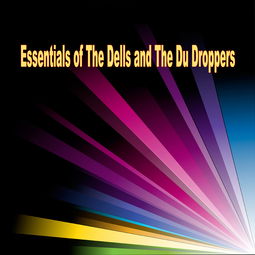 The Essentials of Textile Appraisal