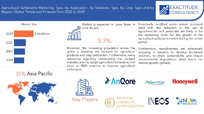 The Global Fabrics of Success