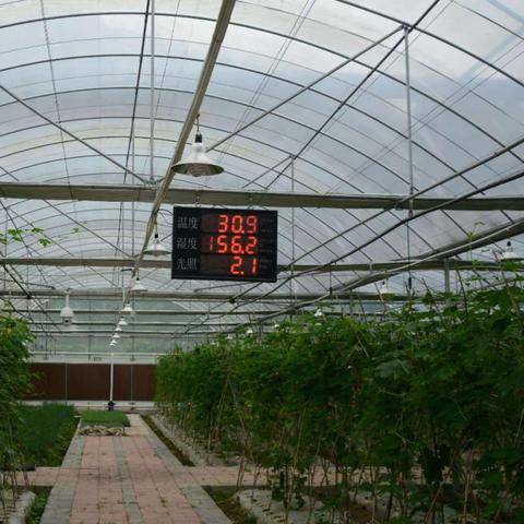 纺织品贸易摩擦分析与应对策略
