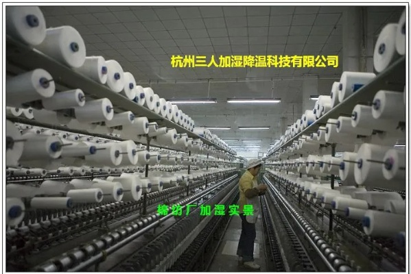 浙江纺织品牌女装代理公司介绍