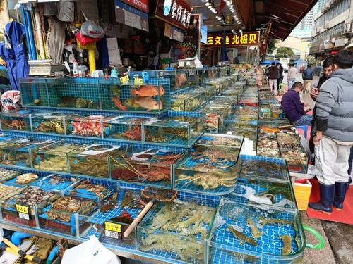 黄浦区特别家用纺织品批发市场探秘