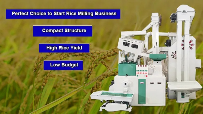 The Tragedy at the White Rice Textile Mill