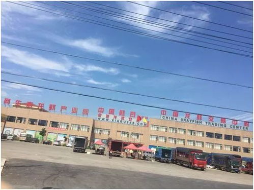 侯马市纺织品批发市场的探索与案例分析