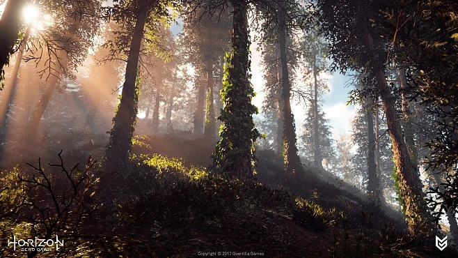 Exploring the Wonders of Haimens Forest of Textiles